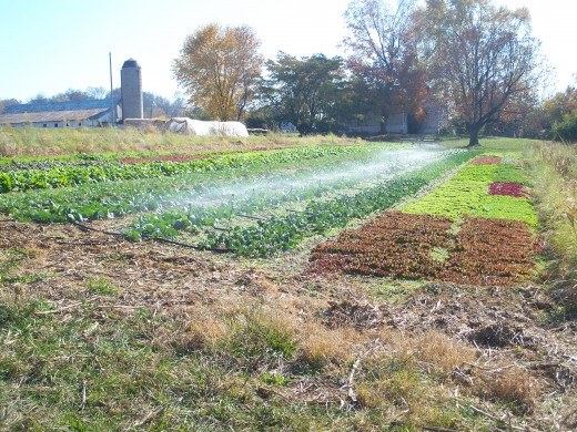 Irrigating Hollow Field