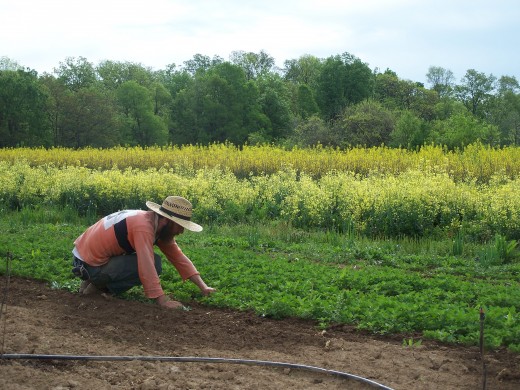 Farm Crew Spring 2010