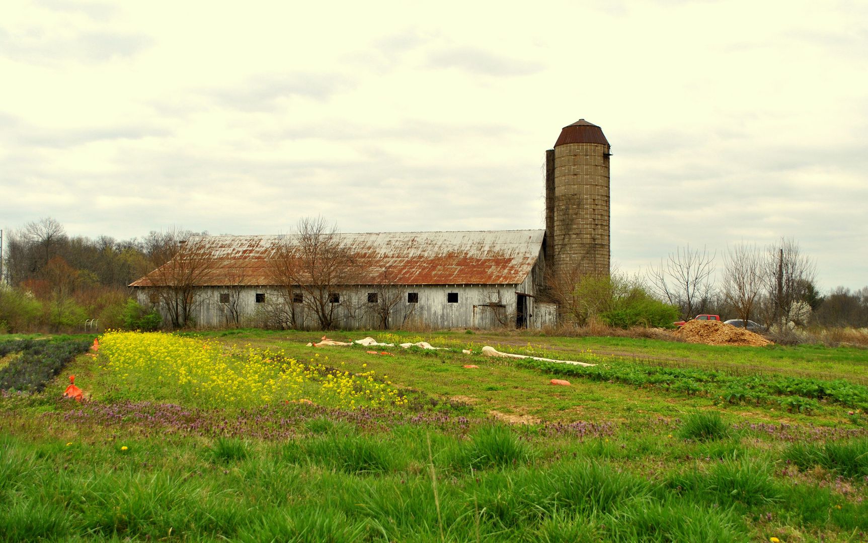 Oxmoor Farm